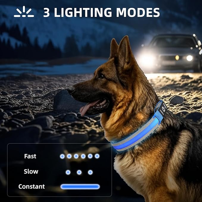 PetIsay LED Dog Collar Metal Buckle - Heavy Duty Light up Collars - Rechargeable IP68 Waterproof - Lighted Dog Collar for Night Walking, Hiking, Camping (Medium, Blue)