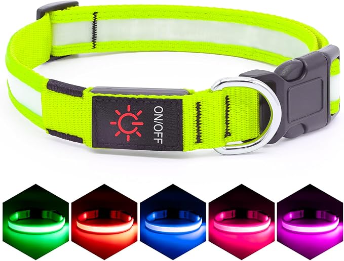 Vizpet LED Dog Collar, Light Up Dog Collar Adjustable USB Rechargeable Super Bright Safety Light Glowing Collars for Dog(Small,Green)