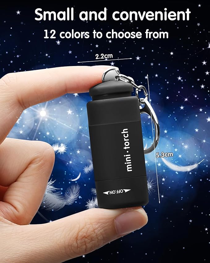 Mudder 12 Pieces Mini Keychain Flashlight Rechargeable Operation Christmas Bulk Plastic Small Torch Flashlight Handheld LED USB Rechargeable Waterproof for Camping Hiking Favor(White Light in Black)