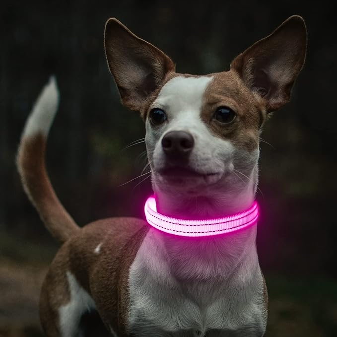 Light Up Dog Collar- Rechargeable Puppy Collars Glow in The Dark LED Dog Collar for Night Walking (X-Small, Pink)