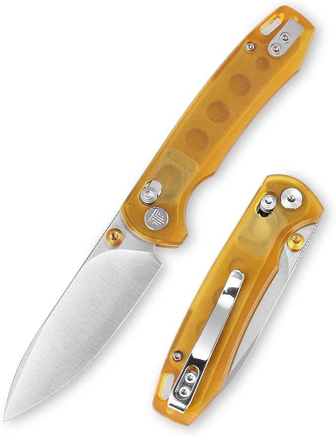 EDC Folding Pocket knife with Clip for Men,Thumb Studs Crossbar Lock Knives with 2.99" 14C28N Steel Blade, Ultem Handle for Camping Hiking,Dragonfly-Y