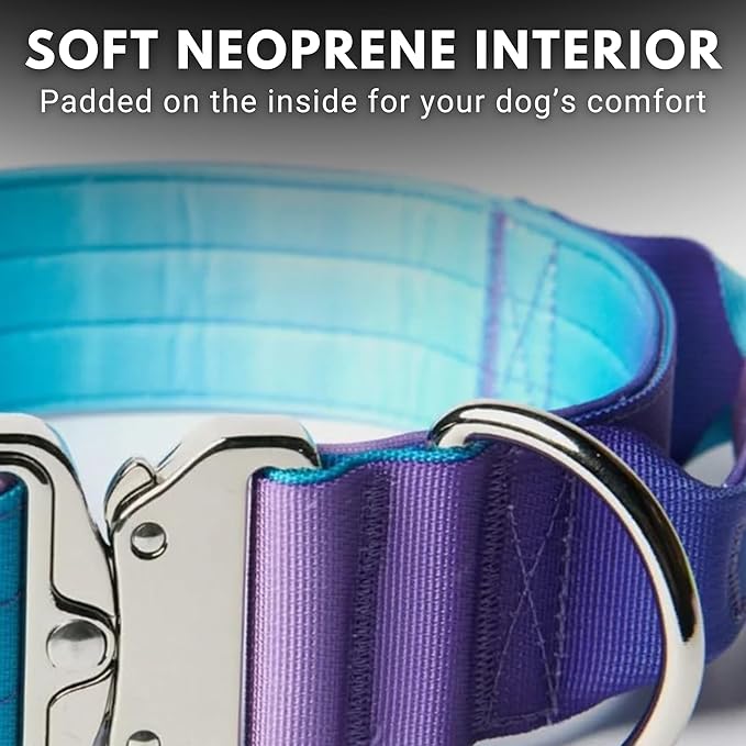 Spark Paws Tactical Dog Collar - Heavy Duty, Premium Quality, Thick and Durable for Large and Medium Dogs - 90s Retro - L - 1.5"