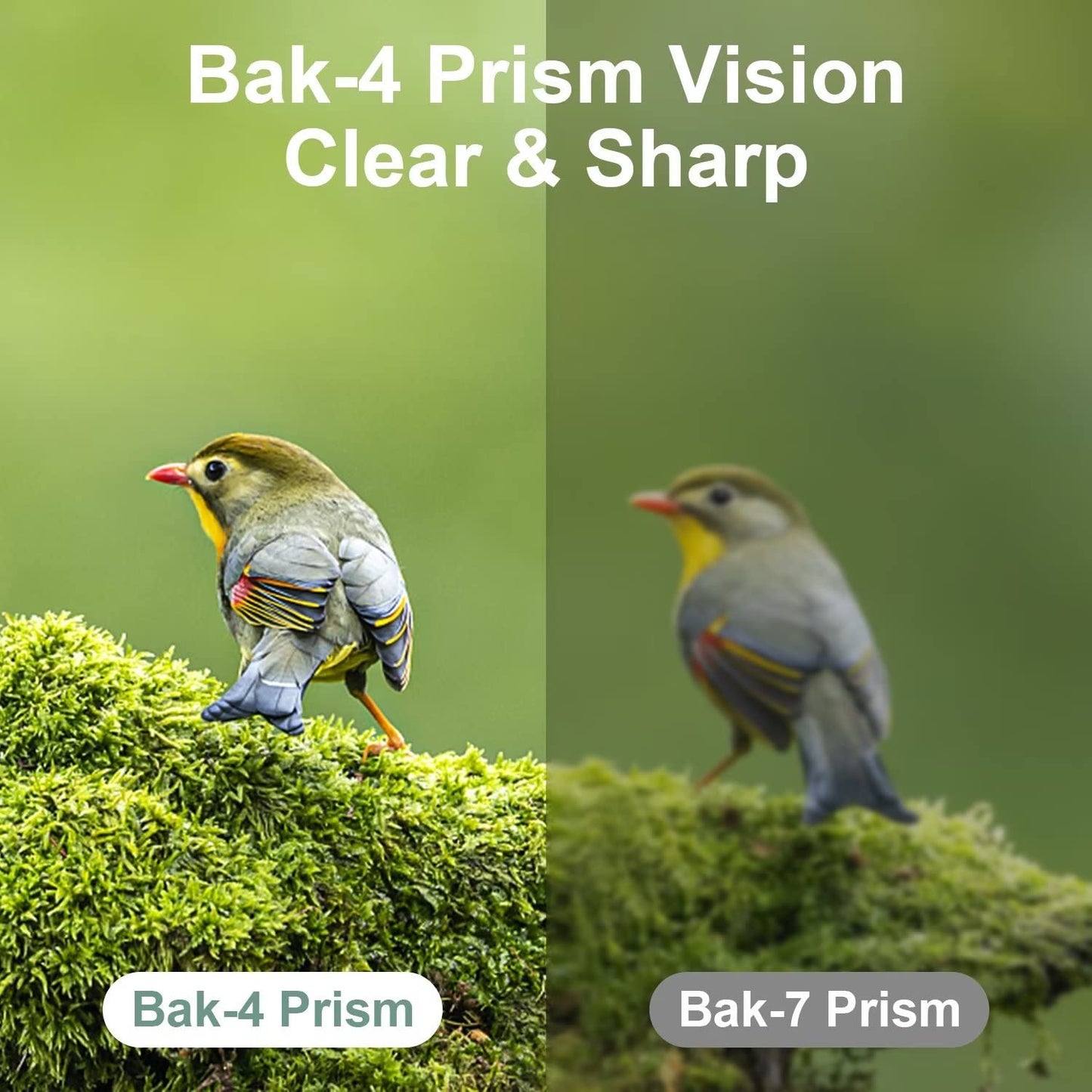 DRANBOL 12X25 Mini Pocket Binoculars for Adults Kids, Small Compact Binoculars for Bird Watching