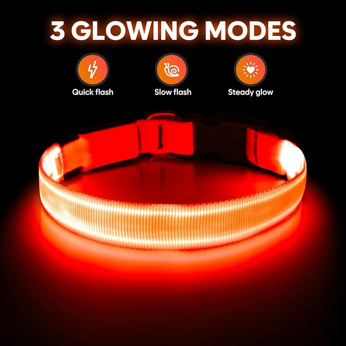 Illumifun LED Dog Collar, Adjustable Light Up Dog Collars, USB Rechargeable Water-Resistant Glowing Safety Collar Light (Orange, Small)