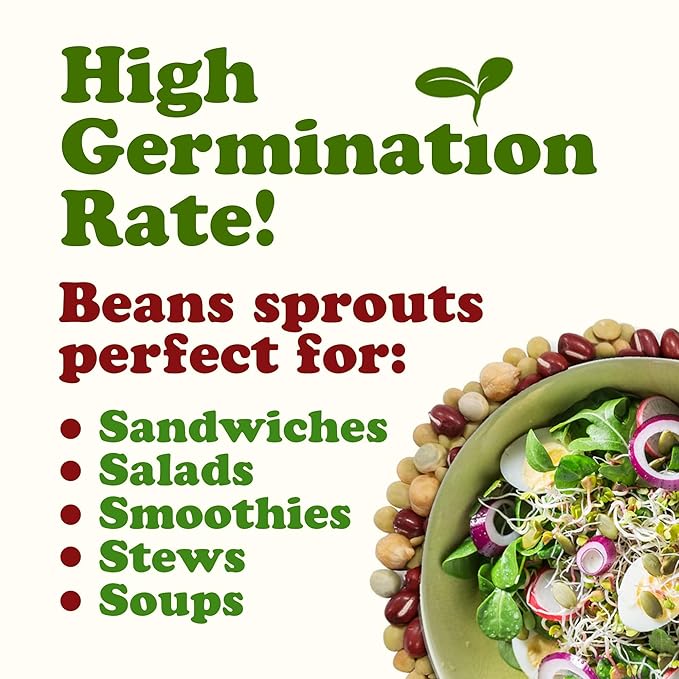 Food to Live Organic Crunchy Mix of Sprouting Beans, 10 Pounds - Non-GMO, Kosher, Non-Irradiated, Vegan, Raw, Dried, Bulk - Organic Green Peas, Adzuki, Lentil, Garbanzo