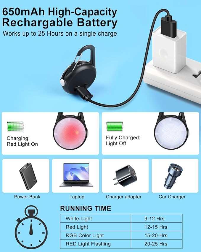 2 Pack Dog Collar Light, Rechargeable Dog Lights for Night Walking Clip On, 4 Modes Waterproof LED Collar Charm for Nighttime Running, Cycling, Pet Camping Essentials (Black)