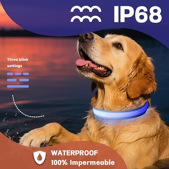 DOGWONG LED Dog Collar - Heavy Duty Light up Collars - Rechargeable Waterproof - Lighted Dog Collar for Night Walking, Hiking, Camping(Blue,L)
