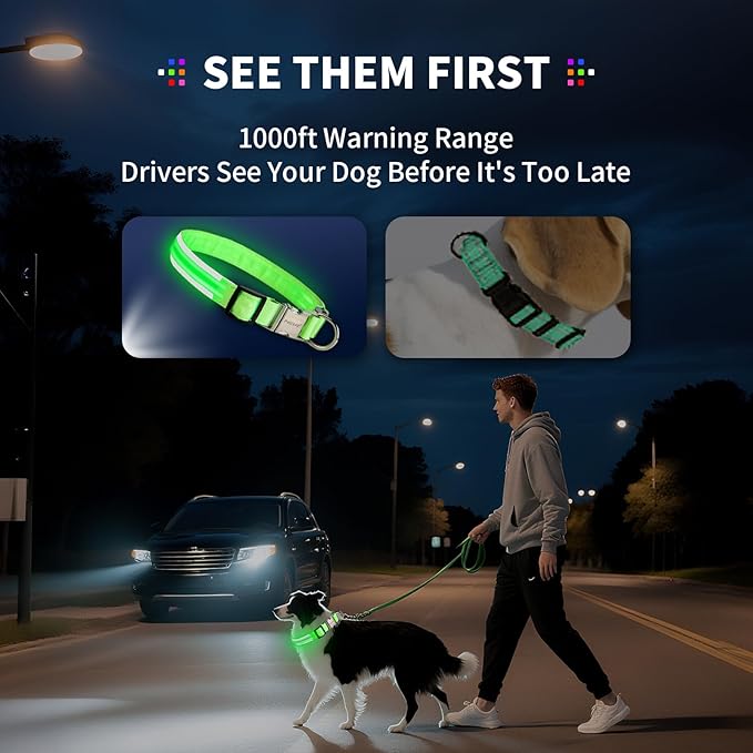 LED Dog Collar with Metal Buckle - USB Rechargeable Glow Collar for Dogs, Waterproof Light Up Dog Collar w/Reflective Strips - Adjustable Night Safety Collars by PetIsay(Orange,Large)