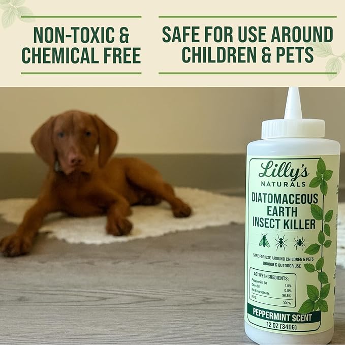 Diatomaceous Earth Food Grade with Peppermint Oil Crawling Insect Killer | Indoor Pest Control Powder for Bed Bug, Roach, Ant, Fleas | Lilly's naturals, 12 fl oz