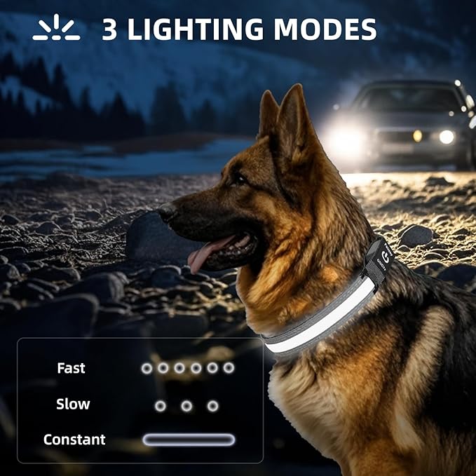PetIsay LED Dog Collar Metal Buckle - Heavy Duty Light up Collars - Rechargeable IP68 Waterproof - Lighted Dog Collar for Night Walking, Hiking, Camping (Medium, White)
