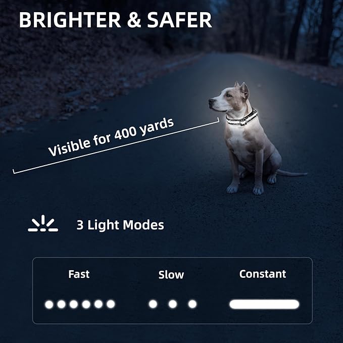 Super Bright LED Dog Collar - Fully Waterproof & Adjustable Glow Collar - USB-C Rechargeable for Night Walking, Safety - Flashing Lighted Collar for Dogs(White,Small)