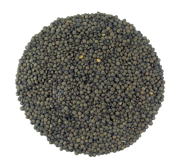 Organic French Green Lentils Whole Raw, High Fiber Non-GMO-Bulk (10LB)