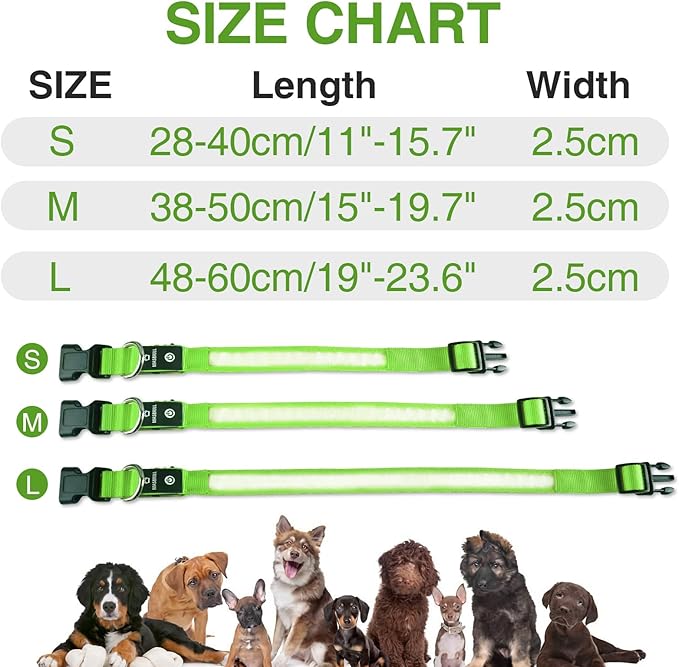 MASBRILL LED Dog Collar - Light Up Dog Collars Rechargeable - Waterproof Night Walking Glowing Dog Collar for Small, Medium, Large Dogs