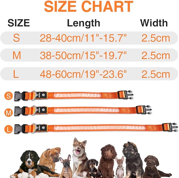 MASBRILL LED Dog Collar - Rechargeable, Waterproof, Glow Collar for Small to Large Dogs