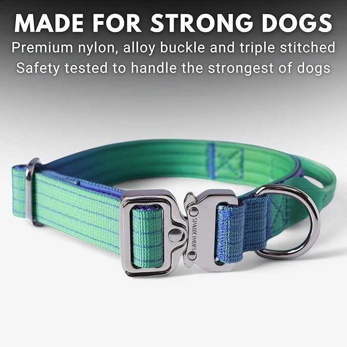 Spark Paws Tactical Dog Collar - Heavy Duty, Premium Quality, Thick and Durable for Large and Medium Dogs - Lime Wave - XS - 1"