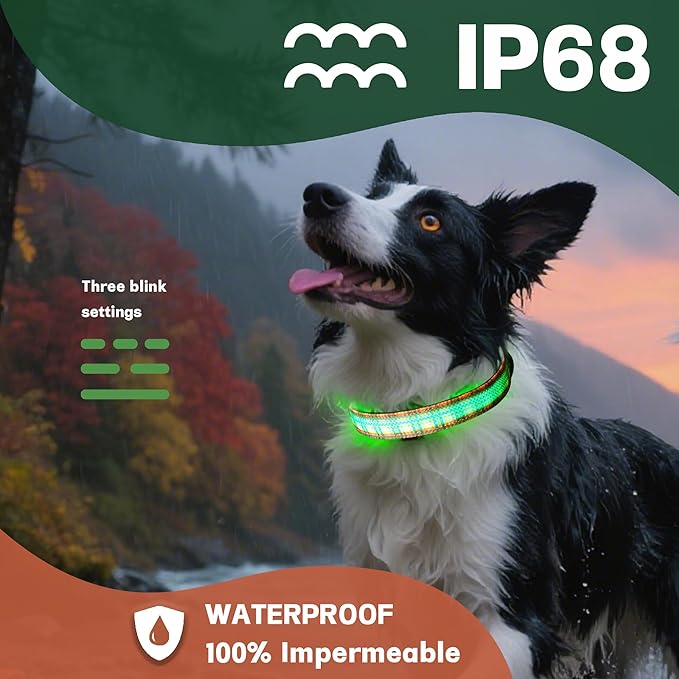 DOGWONG LED Dog Collar - Fall Orange Plaid Heavy Duty Light up Dog Collars - Rechargeable Waterproof - Lighted Dog Collars for Night Walking, Hiking, Camping(Orange Plaid,L)