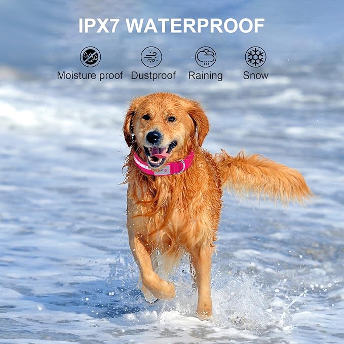 CHUKCHI LED Dog Collar Rechargeable,Waterproof Flashing Collar,Light Up Glow Collar, Adjustable Soft Safety Light Up for Small Medium Large Dogs Walking Camping at Night (Pink-L)