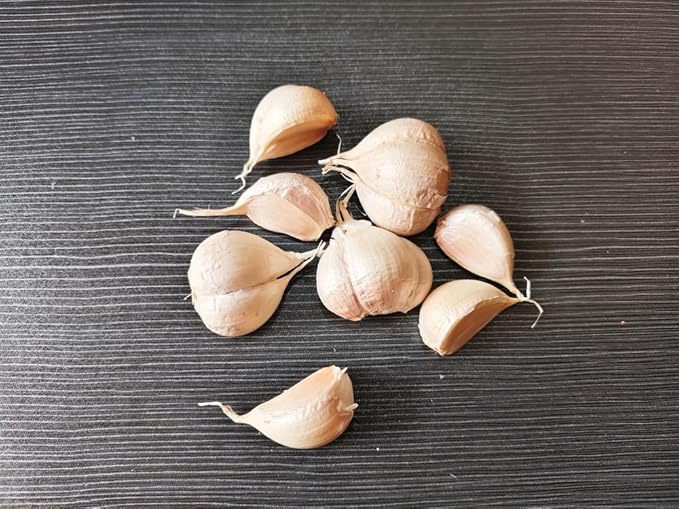 Sanniti Spanish Pickled Garlic in Oil with Herbs, 15.7 Ounces (Pack of 2)