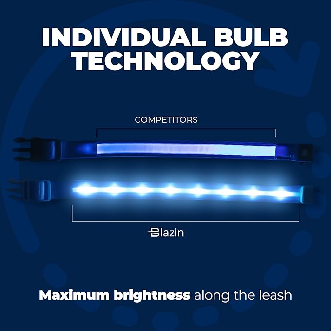 BLAZIN Light Up Dog Leash LED - 1,000 Feet of Visibility - USB Rechargeable Waterproof Glow in The Dark Dog Leash - 4 Foot, Lavender