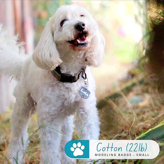 Ultra Joys Dog Tags Personalized for Pets - Hollow Paw Custom Pet ID Tag - Engraved Dog Tag for Small, Large Dogs - Large Badge in Gold