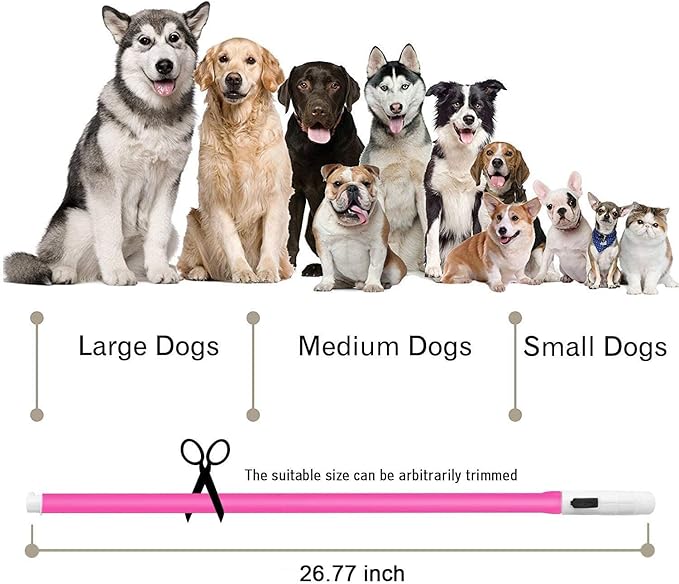 Illumifun LED Dog Collar - USB Rechargeable Light Up Dog Collar Glow in The Dark, Lighted Pet Necklace for Nighttime Walking (Pink-Silicone)