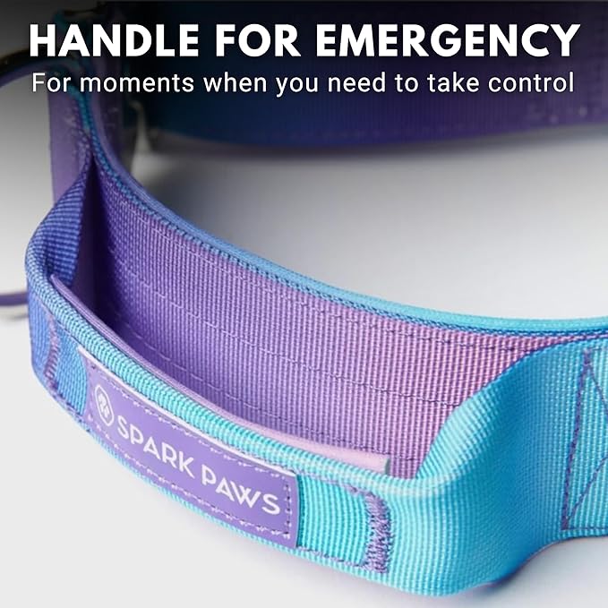 Spark Paws Tactical Dog Collar - Heavy Duty, Premium Quality, Thick and Durable for Large and Medium Dogs - 90s Retro - L - 1.5"