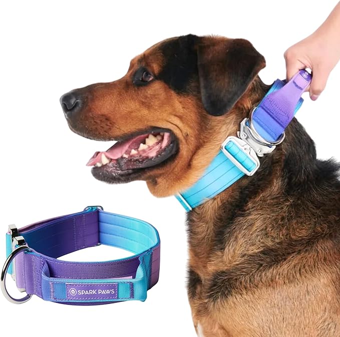 Spark Paws Tactical Dog Collar - Heavy Duty, Premium Quality, Thick and Durable for Large and Medium Dogs - 90s Retro - M - 1.5"