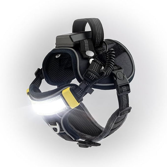 Lumi One LED Dog Harness for Night Visibility and Safety, Patent Pending – High-Visibility Light-Up Dog Vest with 1000 Lumen LED, Rechargeable Battery, Adjustable Fit, Reflective Trim (Black, Small)