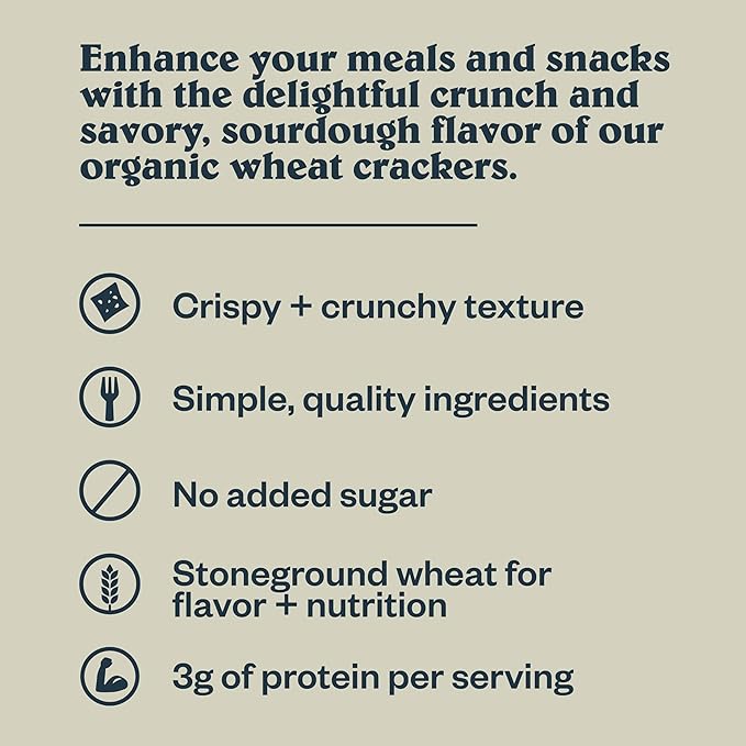 Patagonia Provisions Organic Sourdough Sea Salt Crackers (6 Pack) ??3g Plant Protein Per Serving ??Made with Wheat Flour & Sea Salt ??Non-GMO, No Added Sugar - Crispy & Crunchy