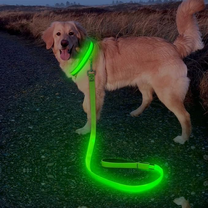 Candofly Glowing LED Dog Leash, Rechargeable Pet Leash with Lights, 4 Ft Light Up Dog Leash for Night Walking Keep Your Pets Visible (Neon Green)