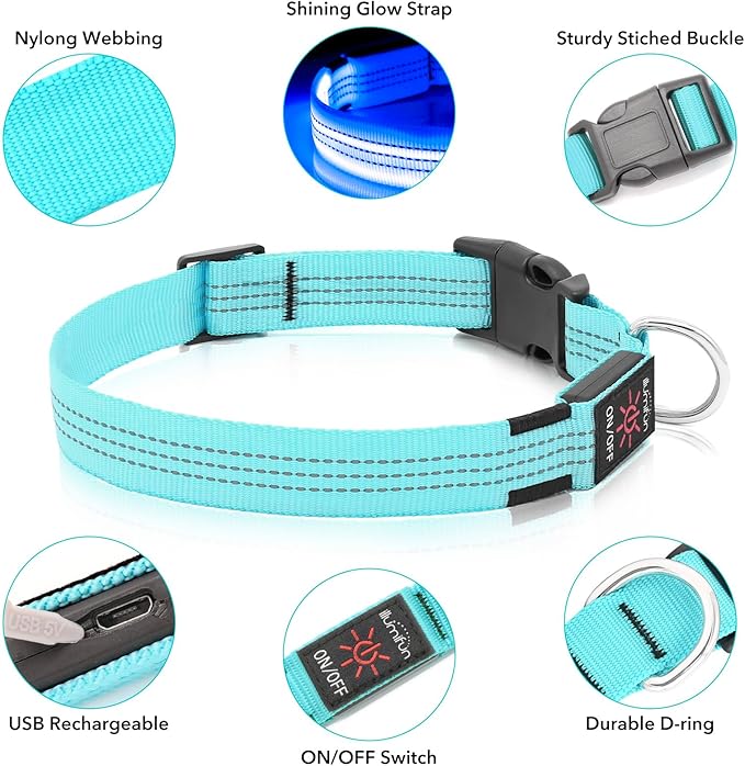 Illumifun Light Up Dog Collar, USB Rechargeable LED Dog Collar, Adjustable Reflective Lighted Pet Collar for Night Walking Camping (Blue?? Large)