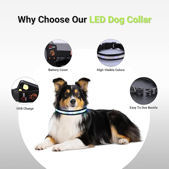 Light Up Dog Collar,Rechargeable Waterproof Led Dog Collar with Remote,Glow in Dark for Night Walking, Fits Small Medium Large Dogs-L