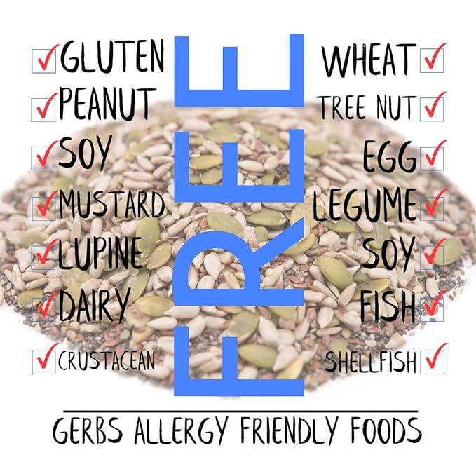 GERBS Super 5 Seed Snack Mix 1 LB. Premium Grade | Top 14 Food Allergy Free | Resealable Bulk Bag | Made in USA | Raw Pumpkin Sunflower Chia Hemp Flax Seed Trail Mix | Gluten Peanut Tree Nut Free