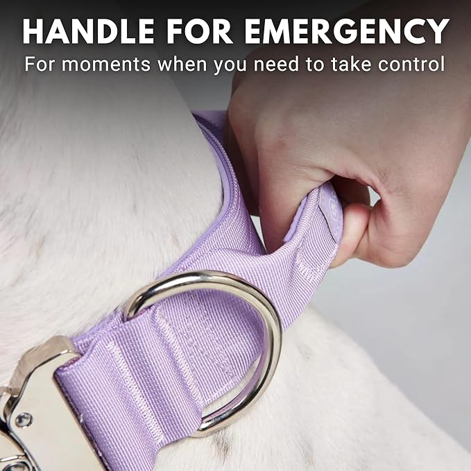 Spark Paws Tactical Dog Collar - Heavy Duty, Premium Quality, Thick and Durable for Large and Medium Dogs - Purple - L