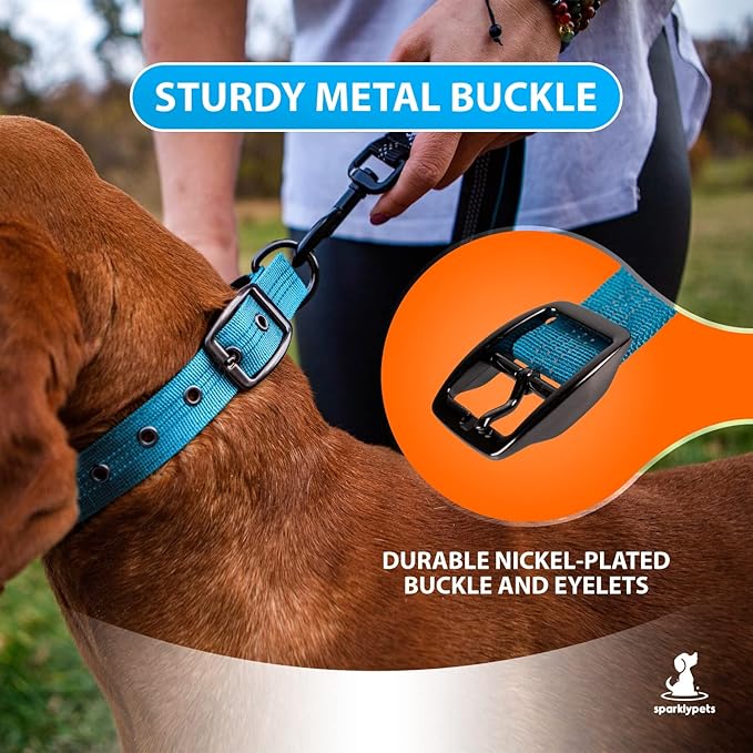 SparklyPets Heavy Duty Dog Collar with Handle for Medium and Large Dogs – Professional Collar with Reflective Stitches, Soft Handle & Nickel-Plated Buckle (Large (18"~22"), Blue)