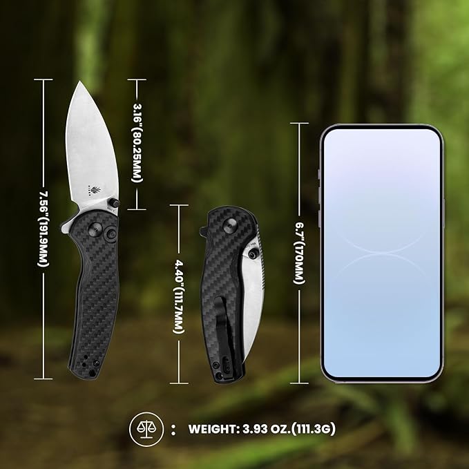 Kizer Mini Grouper Folding Pocket Knife, Nitro-V Steel Blade G10 Handle Small EDC Knife, Button Lock Knife with Pocket Clip for Men Women, Sharp Camping Hiking Survival Knives V3669A1