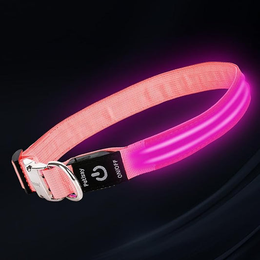 LED Dog Collar with Metal Buckle - USB Rechargeable Glow Collar for Dogs, Waterproof Light Up Dog Collar w/Reflective Strips - Adjustable Night Safety Collars by PetIsay(Pink,Medium)