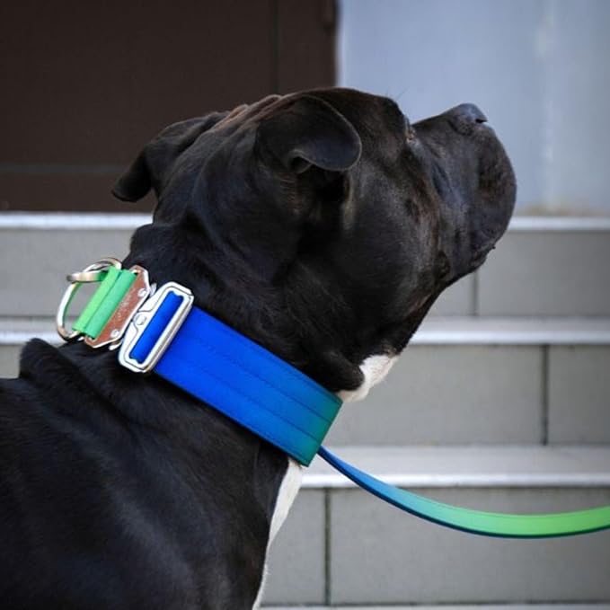 Spark Paws Tactical Dog Collar - Heavy Duty, Premium Quality, Thick and Durable for Large and Medium Dogs - Lime Wave - M - 1.5"