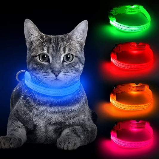 BSEEN Light Up Dog Collar, Rechargeable LED Dog Collar Reflective Glowing Pet Collar for Puppies & Cats, Safety Dog Lights for Night Walking (Blue)