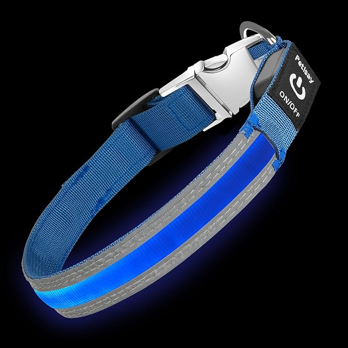 PetIsay LED Dog Collar Metal Buckle - Heavy Duty Light up Collars - Rechargeable IP68 Waterproof - Lighted Dog Collar for Night Walking, Hiking, Camping (Medium, Blue)