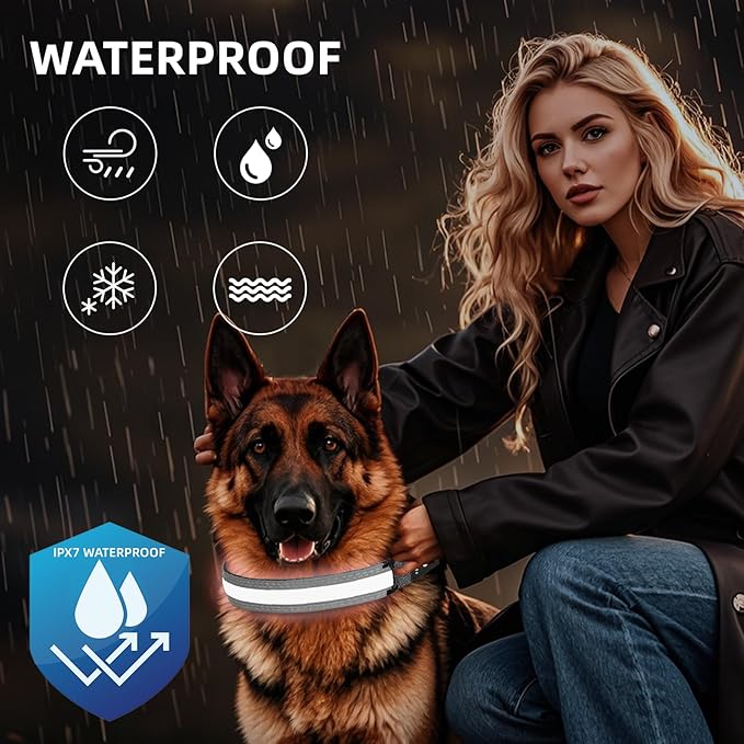 PetIsay LED Dog Collar Metal Buckle - Heavy Duty Light up Collars - Rechargeable IP68 Waterproof - Lighted Dog Collar for Night Walking, Hiking, Camping (Large, White)