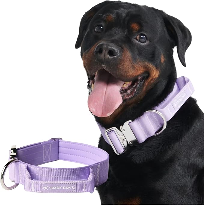 Spark Paws Tactical Dog Collar - Heavy Duty, Premium Quality, Thick and Durable for Large and Medium Dogs - Purple - L