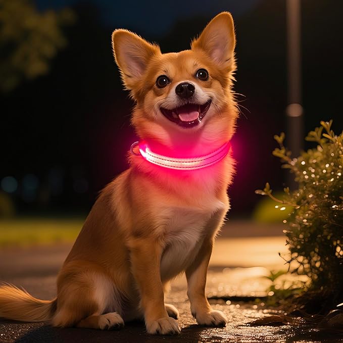 Light Up Dog Collar- Rechargeable Puppy Collars Glow in The Dark LED Dog Collar for Night Walking (X-Small, Pink)