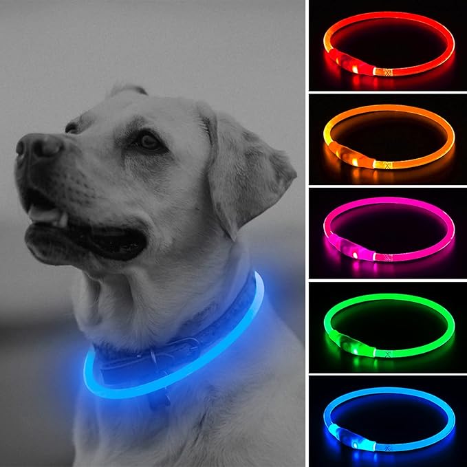 Illumifun LED Dog Collar - USB Rechargeable Light Up Dog Collars, TPU Cuttable Lighted Dog Necklace for Night Walking (Blue)