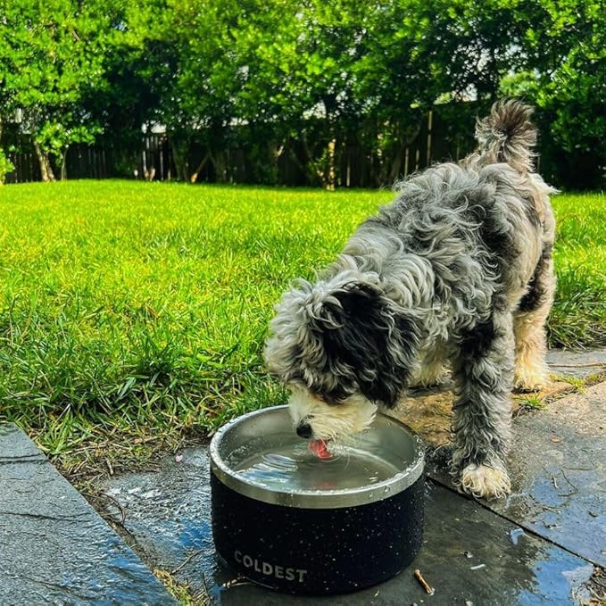 Coldest Dog Bowl - Anti Rust Metal, Non Slip, 3 Layers Insulated Stainless Steel Dog Bowls - Spill Proof & Heavy Duty - Water Bowl for Dogs, Cats & Pets, Dish Washer Safe (100 oz, Carrara Marble)