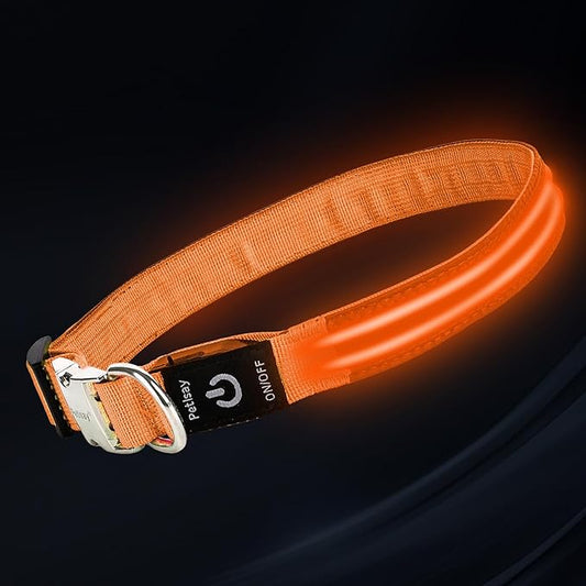 LED Dog Collar with Metal Buckle - USB Rechargeable Glow Collar for Dogs, Waterproof Light Up Dog Collar w/Reflective Strips - Adjustable Night Safety Collars by PetIsay(Orange, Small)