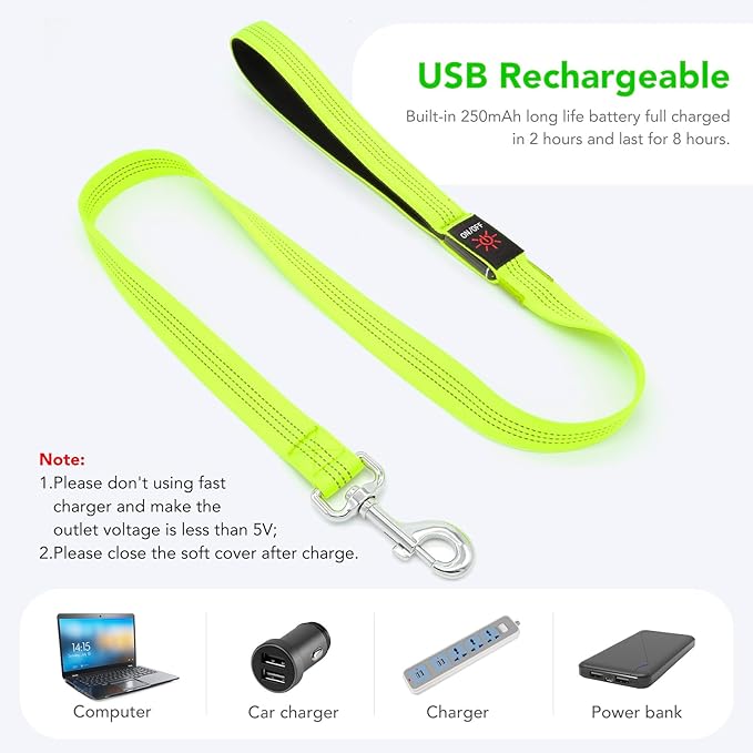 Colaseeme Light Up Dog Leash, LED Pet Leashes USB Rechargeable, Glow Safety Dogs Lights at Night (4FT,Green-New)