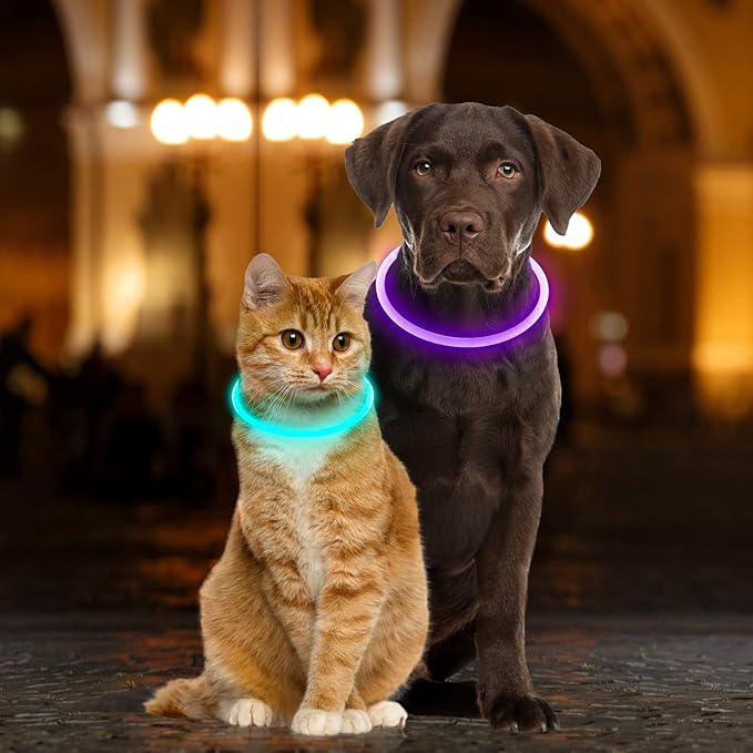 Light Up Dog Collars, USB Rechargeable Dlitk LED Dog Collar 1 Count, TPU Cuttable Size Glow Collar for Dogs, Dog Collar Light, Please Do Not Use Fast Charging (Cyan)