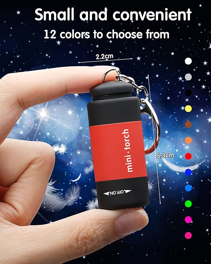 Mudder 12 Pieces Mini Keychain Flashlight Rechargeable Operation Christmas Bulk Plastic Small Torch Flashlight Handheld LED USB Rechargeable Waterproof for Camping Hiking Favor(White Light)