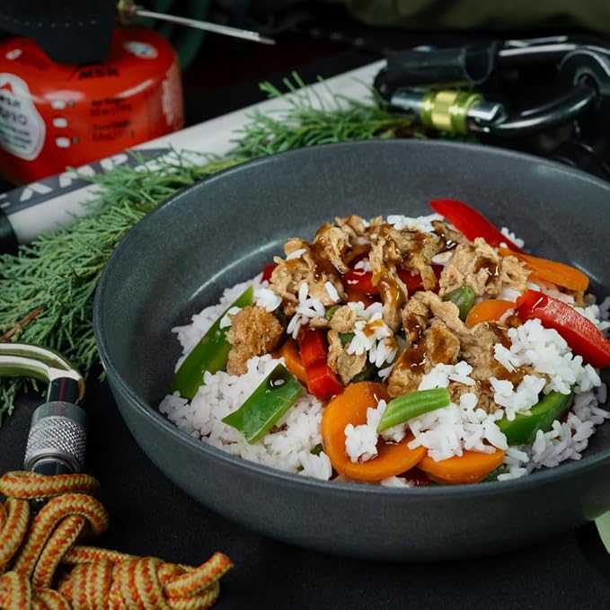 Nomad Nutrition Chick'n Teriyaki Bowl | Instant Freeze Dried Backpacking & Camping Food | Plant-Based, Non-GMO Hiking Meals with High-Energy, Vegan | 112g - 1 Pack